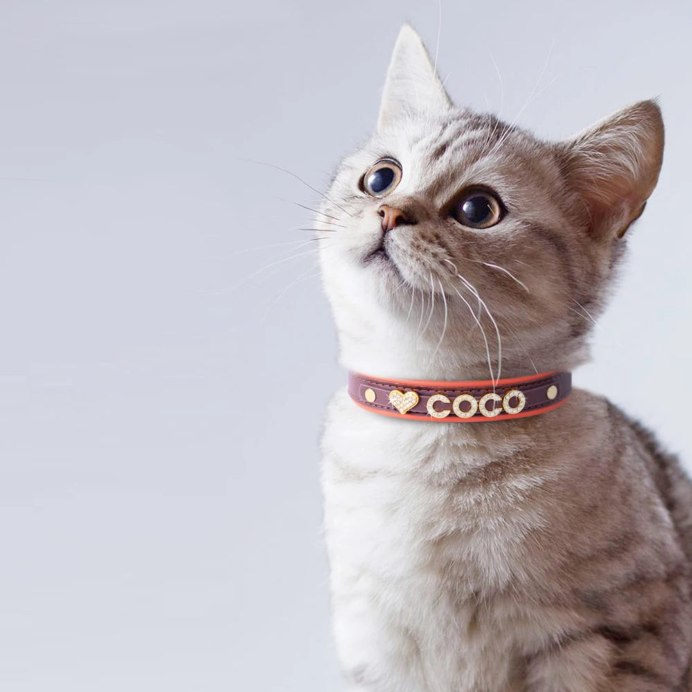 Personalized Rhinestone Dog Collar – Custom Name Collar for Small Dogs & Cats