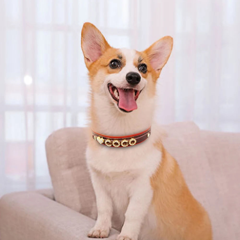 Personalized Rhinestone Dog Collar – Custom Name Collar for Small Dogs & Cats