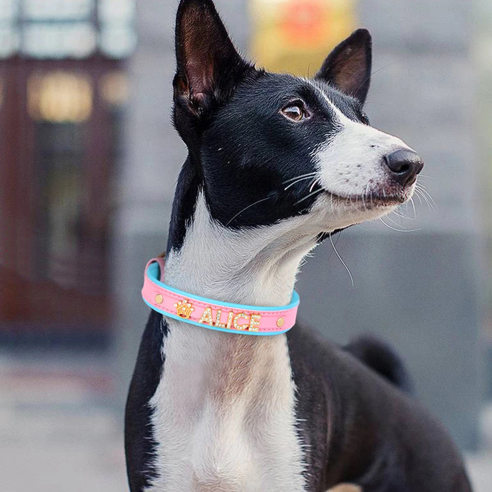Personalized Rhinestone Dog Collar – Custom Name Collar for Small Dogs & Cats