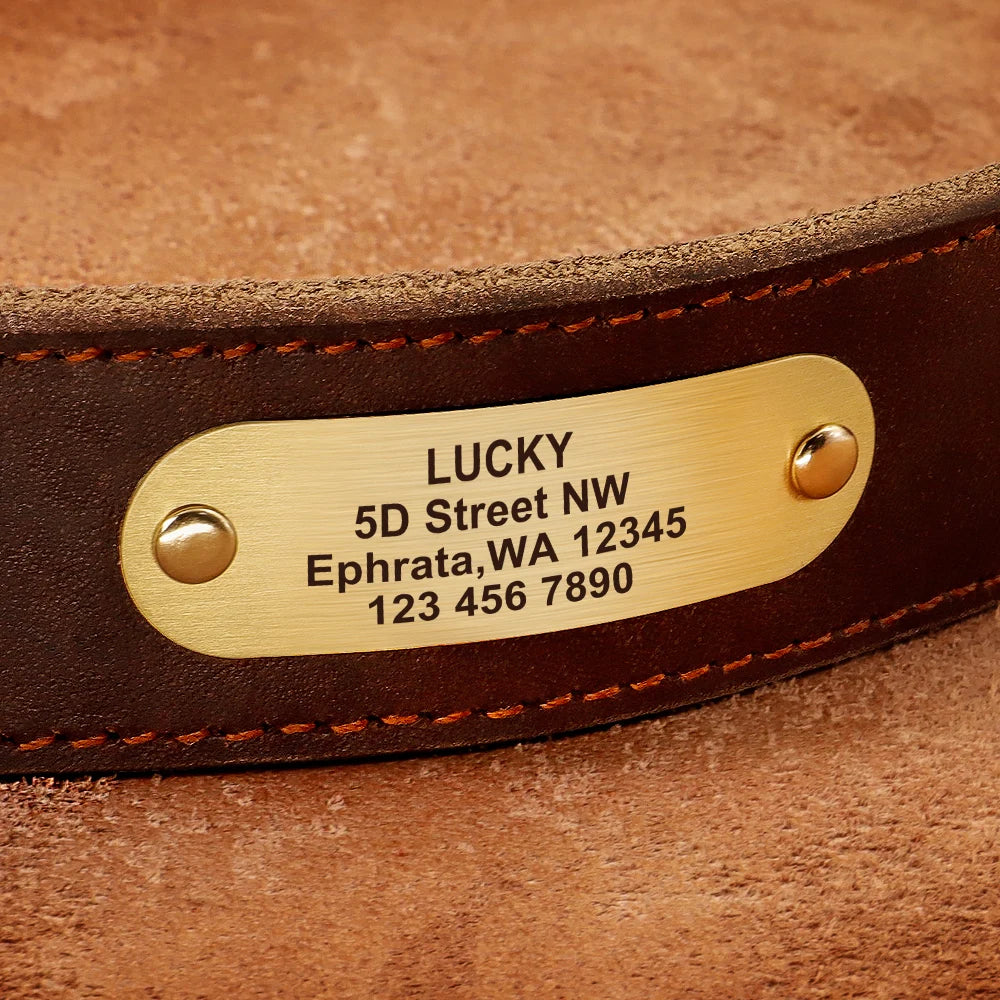 Personalized Real Leather Dog Collar & Leash Sets