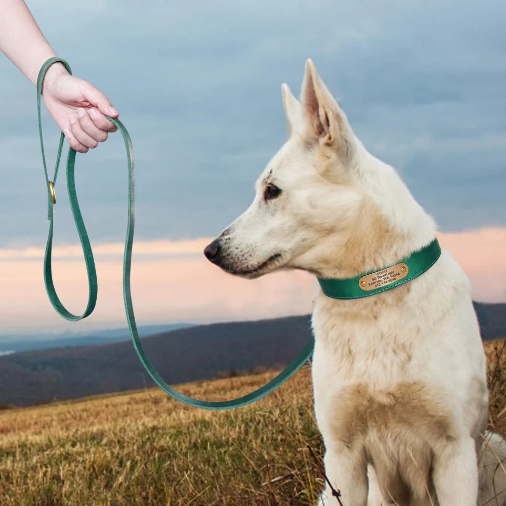 Personalized Real Leather Dog Collar & Leash Sets