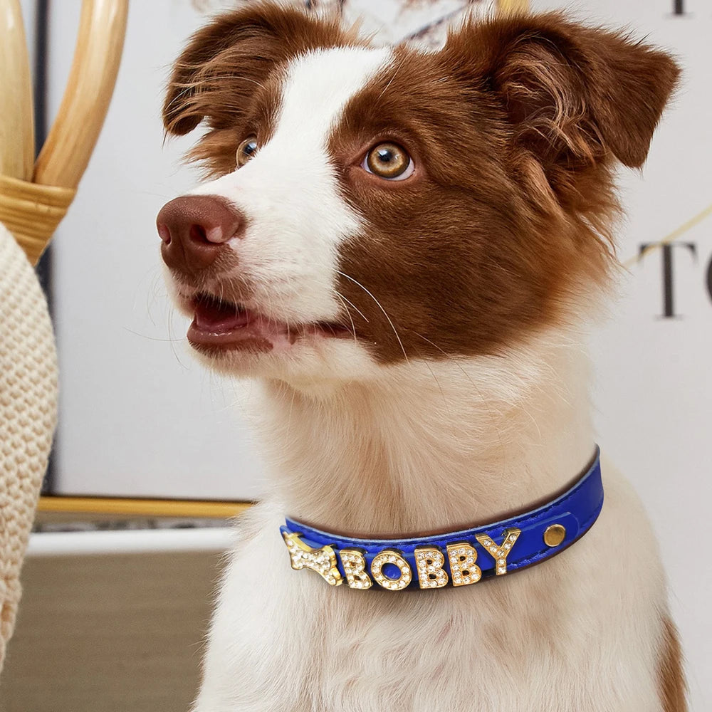 Personalized Rhinestone Dog Collar – Custom Name Collar for Small Dogs & Cats