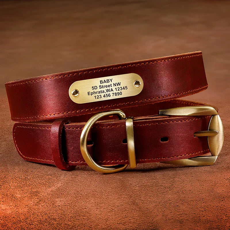 Personalized Real Leather Dog Collar & Leash Sets