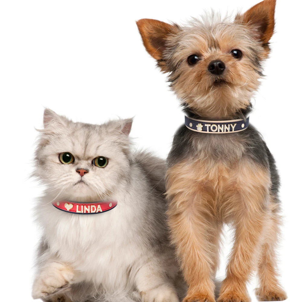 Personalized Rhinestone Dog Collar – Custom Name Collar for Small Dogs & Cats