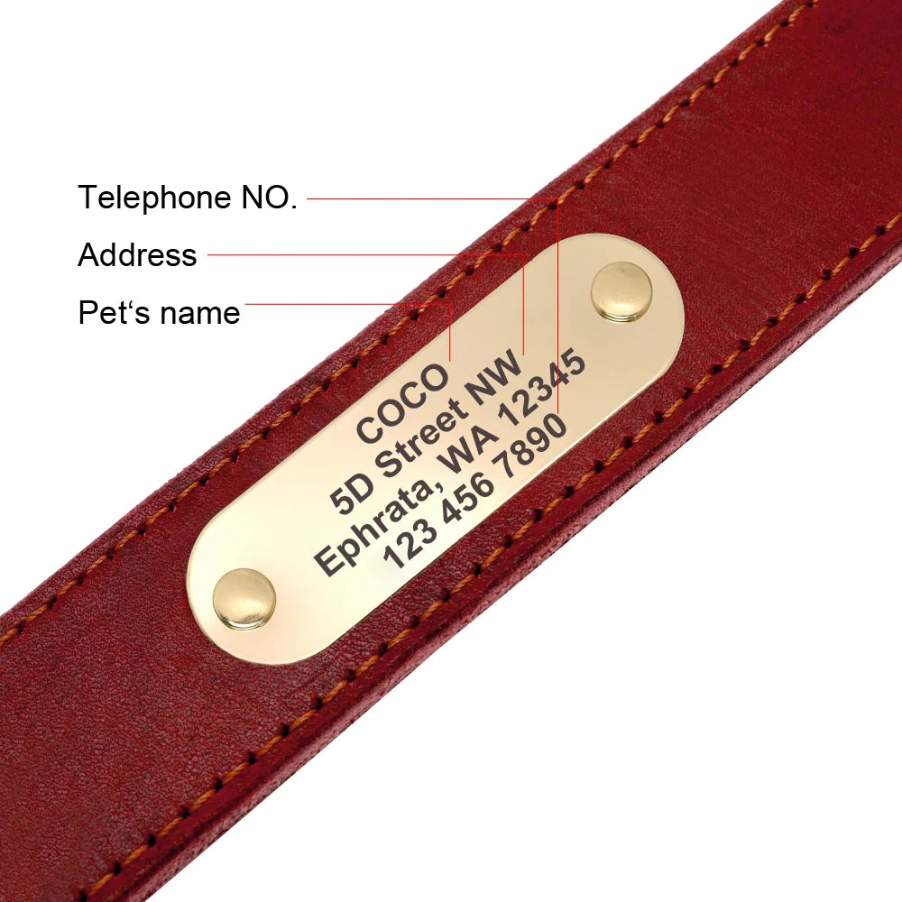 Personalized Real Leather Dog Collar & Leash Sets