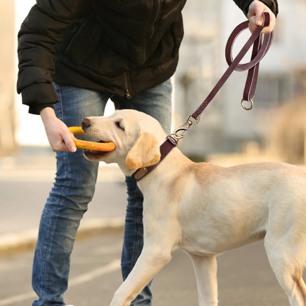 Personalized Real Leather Dog Collar & Leash Sets