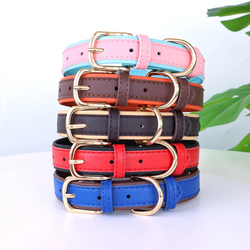 Personalized Rhinestone Dog Collar – Custom Name Collar for Small Dogs & Cats
