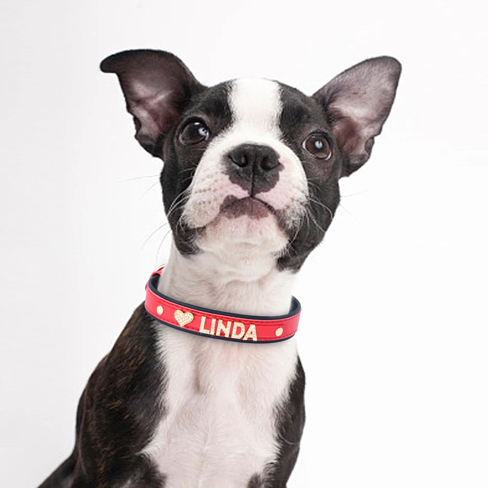 Personalized Rhinestone Dog Collar – Custom Name Collar for Small Dogs & Cats