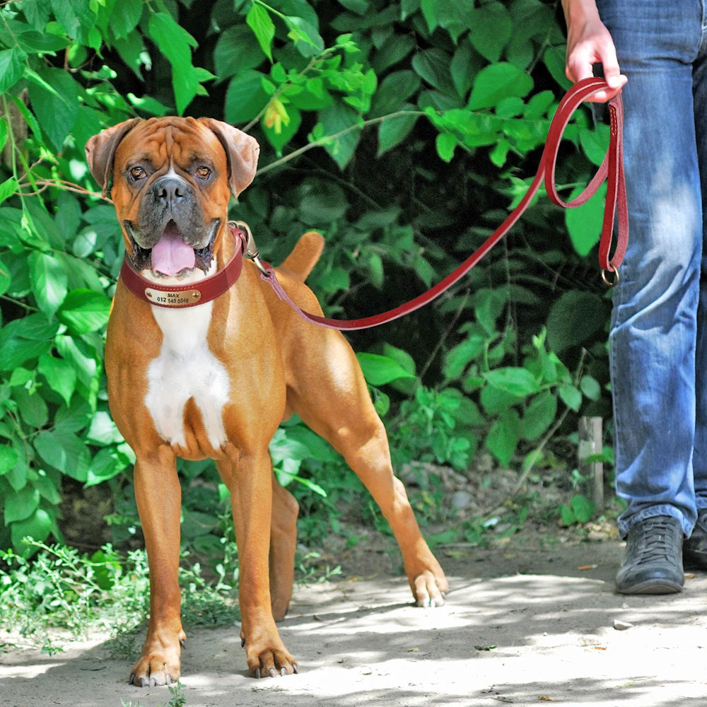 Personalized Real Leather Dog Collar & Leash Sets