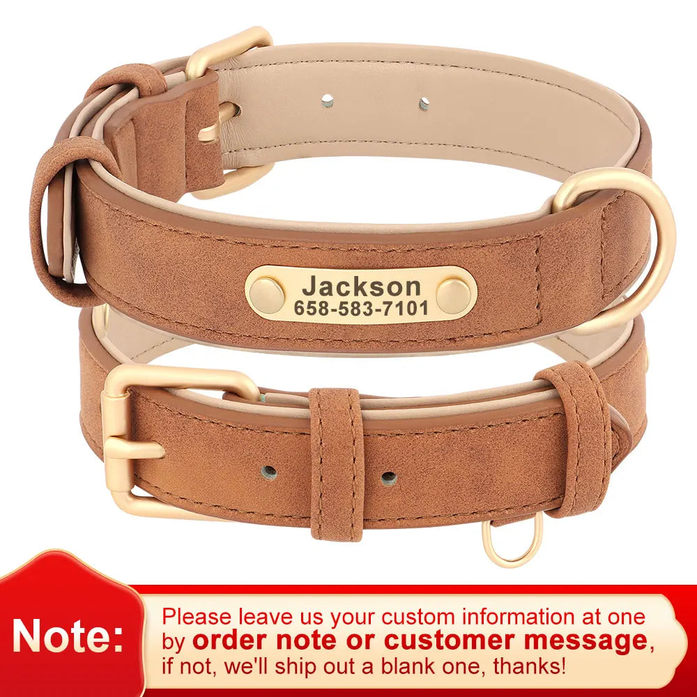 Personalized Safety Leather Dog Collar & Leash Set – Free Engraving