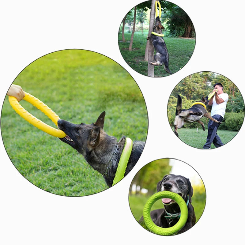 Floating Dog Training Ring – Durable Chew & Fetch Toy for Outdoor Play