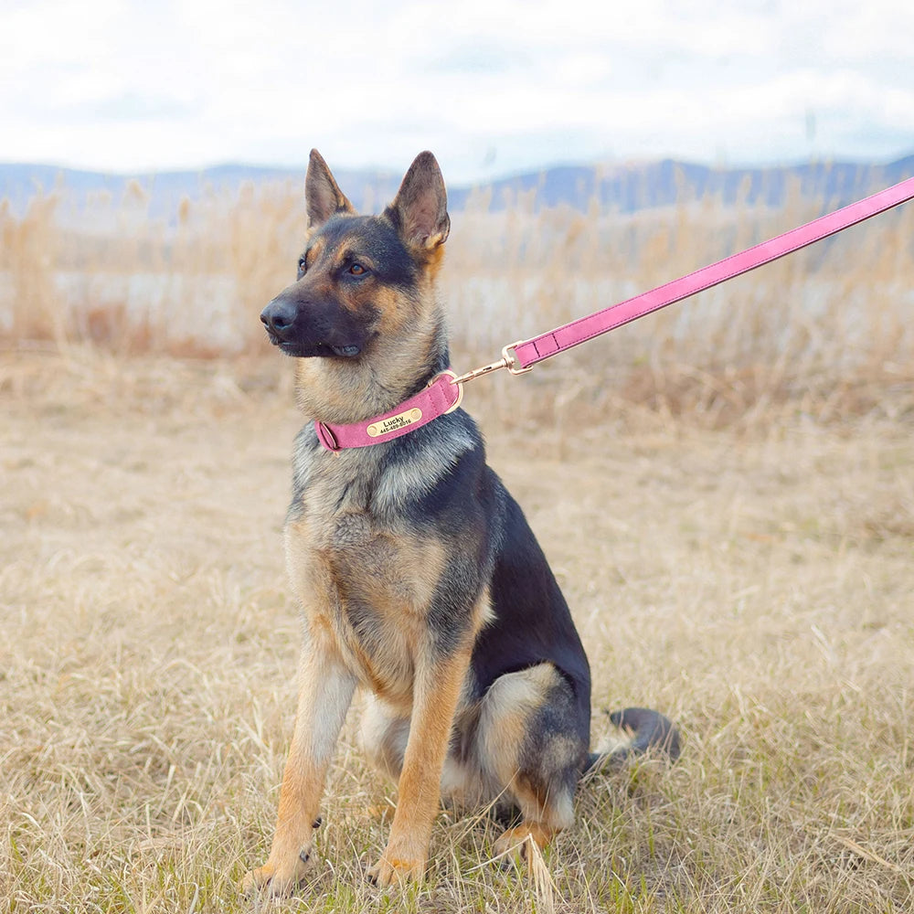 Personalized Safety Leather Dog Collar & Leash Set – Free Engraving
