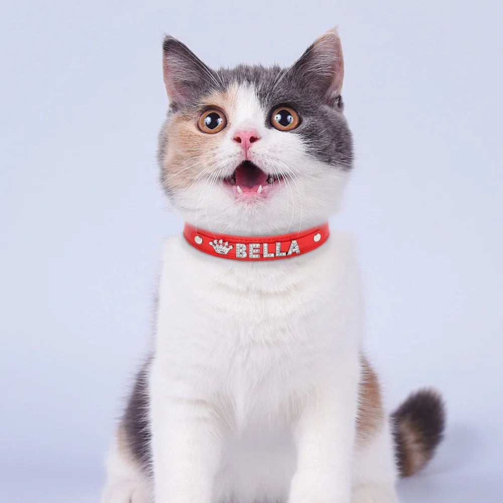 Personalized Rhinestone Dog Collar – Custom Name Collar for Small Dogs & Cats