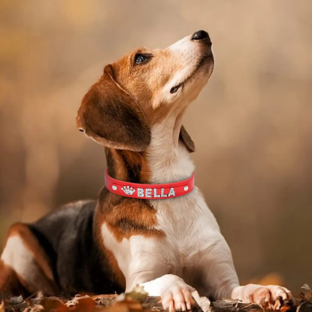 Personalized Rhinestone Dog Collar – Custom Name Collar for Small Dogs & Cats