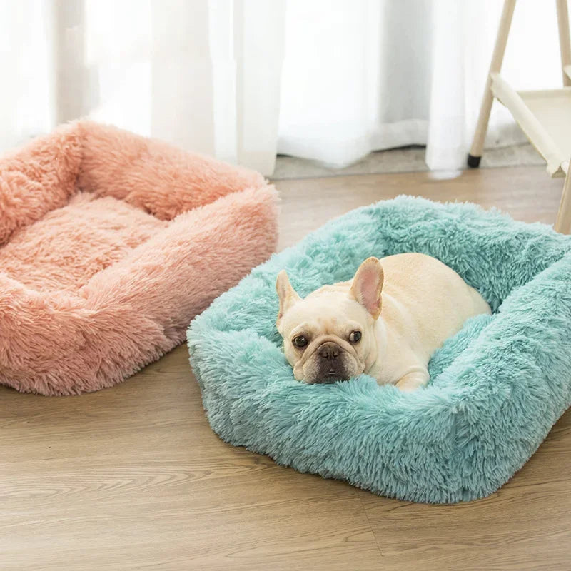 Super Plush Pet Bed – Comfortable Sleeping Bed for Small Dogs & Cats