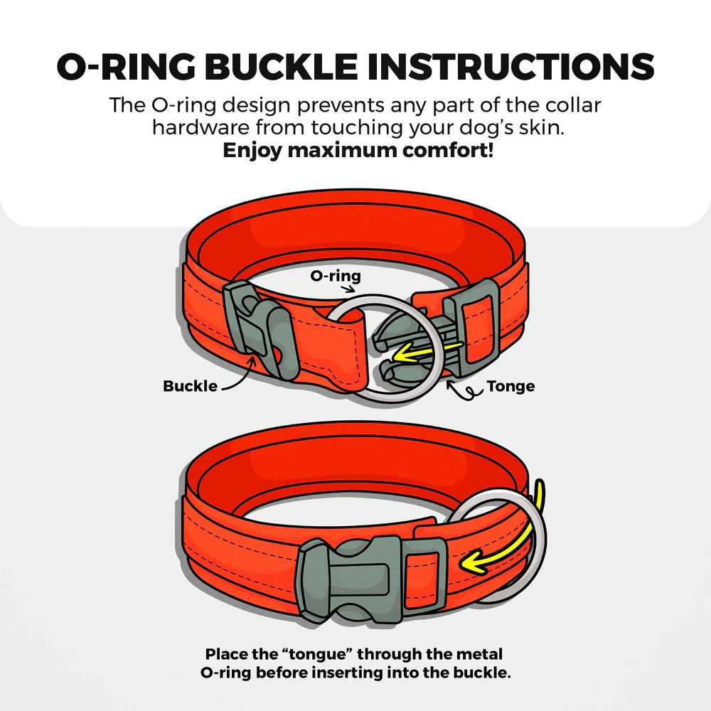 Magnolia Pet Reflective AirTag Dog Collar product image 8