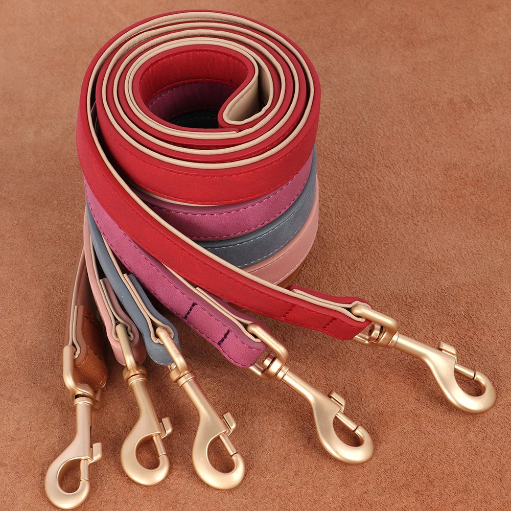 Personalized Safety Leather Dog Collar & Leash Set – Free Engraving