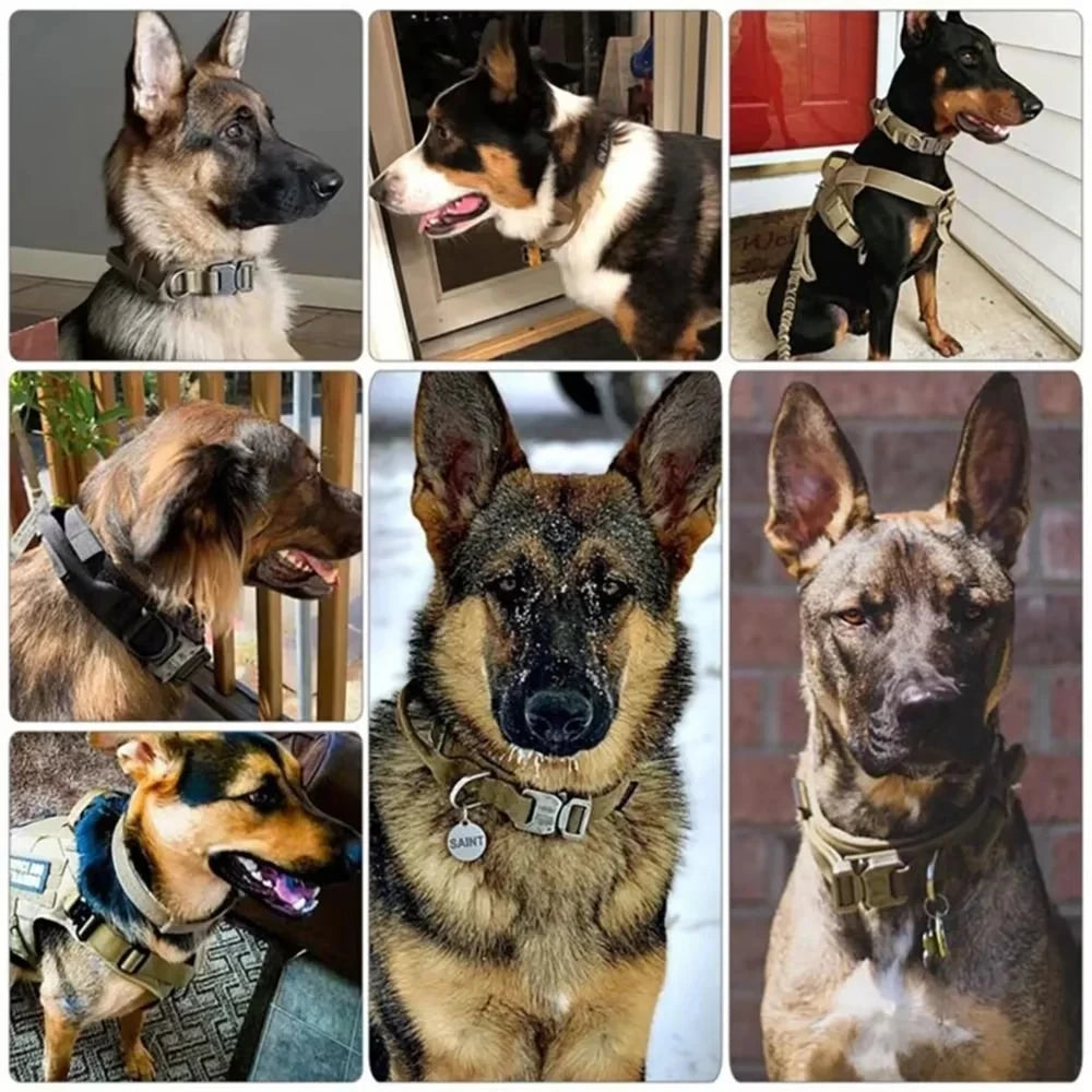 Magnolia Pet Tactical Police Dog Collar - Adjustable Durable Nylon Military Collar for German Shepherds, Med product image 2