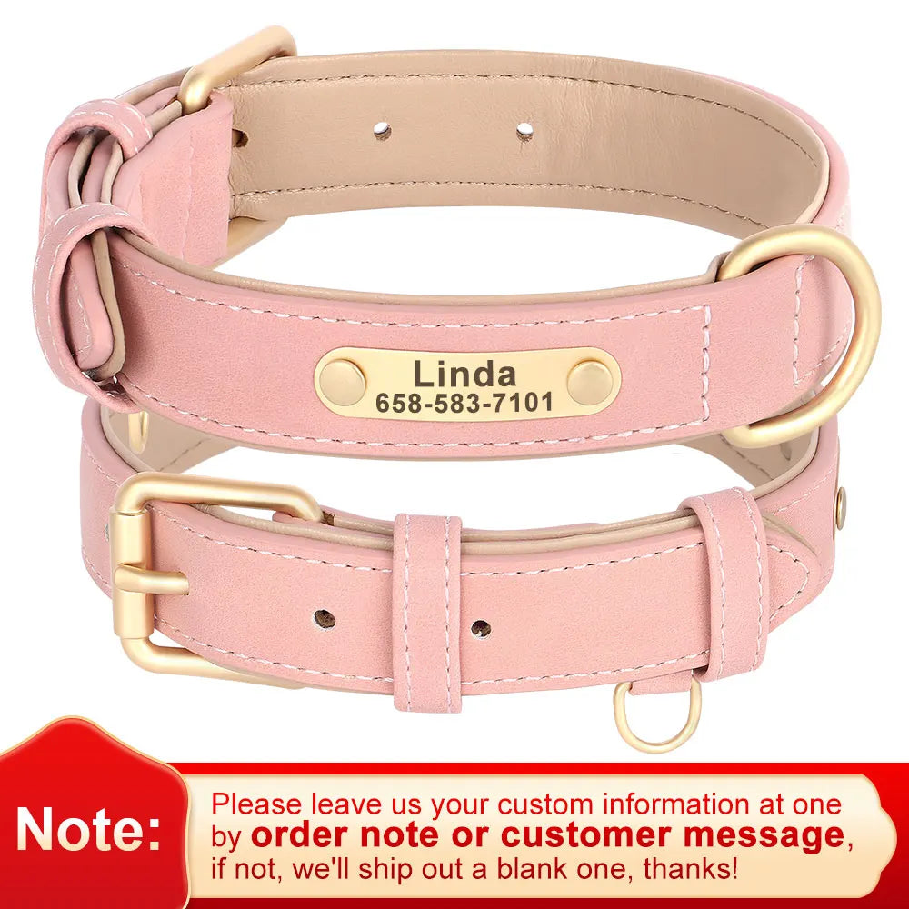 Personalized Safety Leather Dog Collar & Leash Set – Free Engraving
