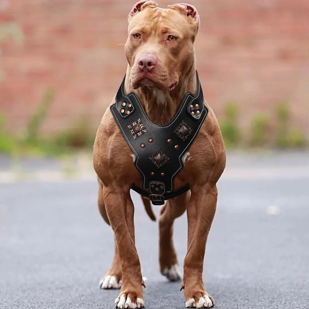 Genuine Leather Dog Harness – Durable Riveted Training Vest with Metal Hardware for Medium & Large Dogs