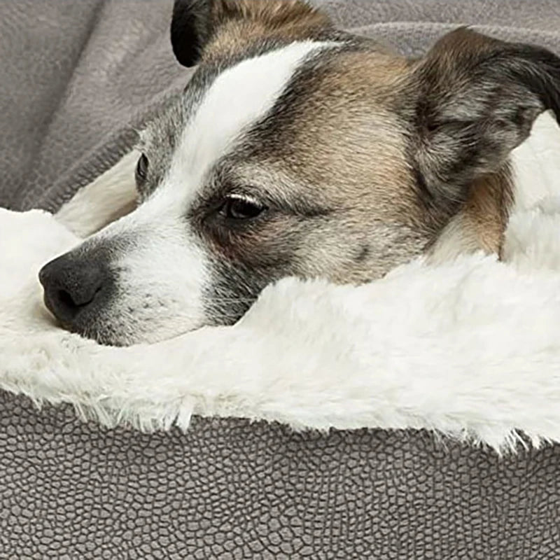Orthopedic Dog & Cat Beds – Indoor Pet Cave with Soft Cushion & Supportive Head Rest
