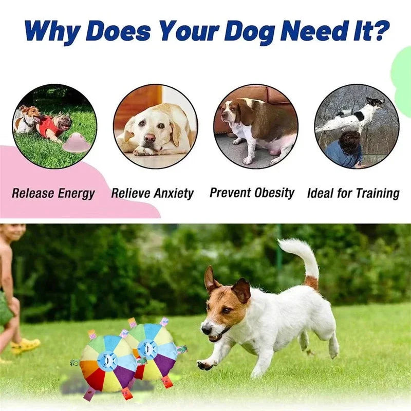 Interactive Flying Disc Chew Toy for Outdoor Fun & Training