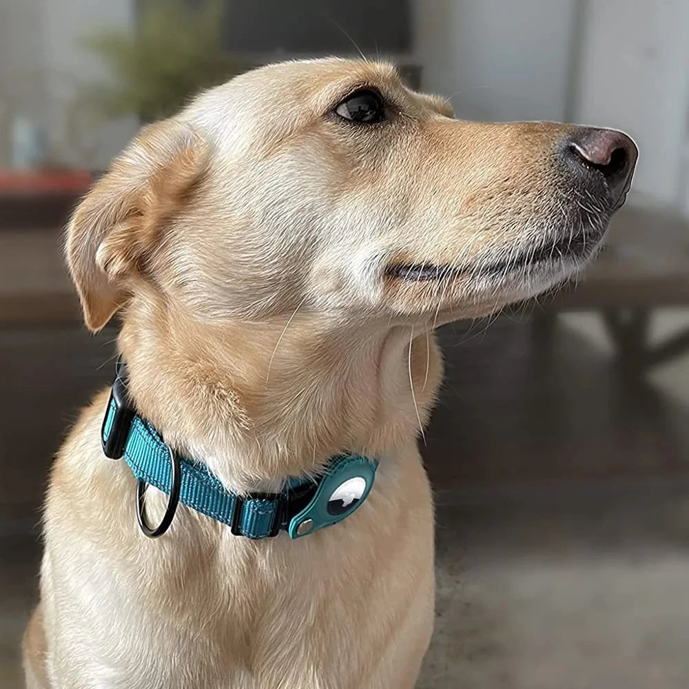 Magnolia Pet Reflective AirTag Dog Collar product image 5