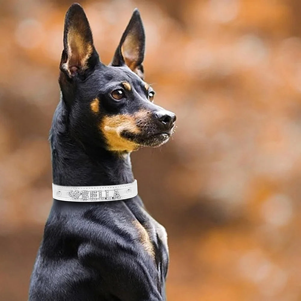 Personalized Rhinestone Dog Collar – Custom Name Collar for Small Dogs & Cats