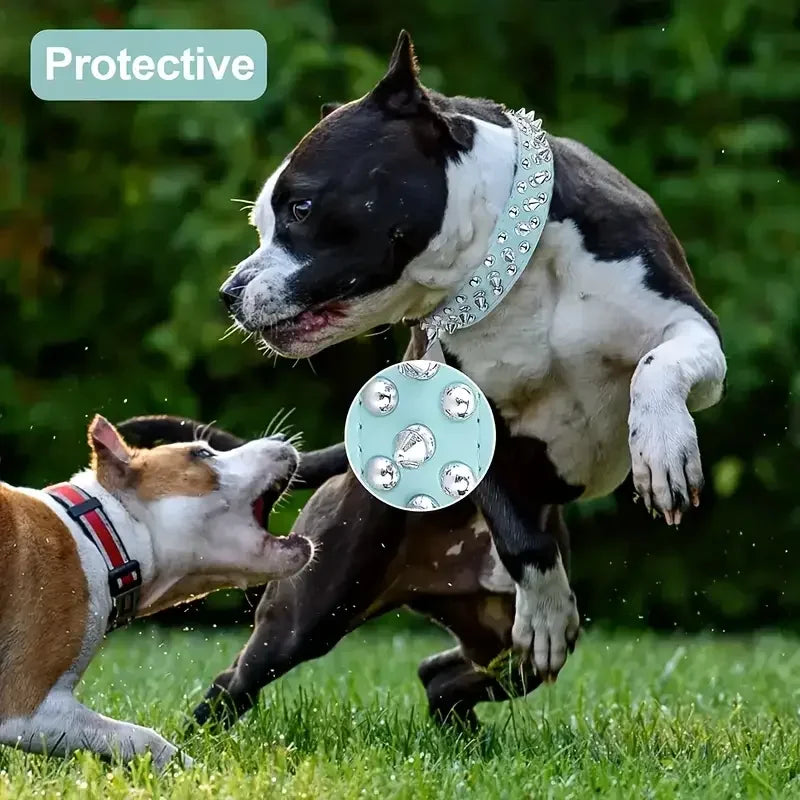 Studded Spiked Dog & Cat Collar – Adjustable Collar for Dogs & Cats