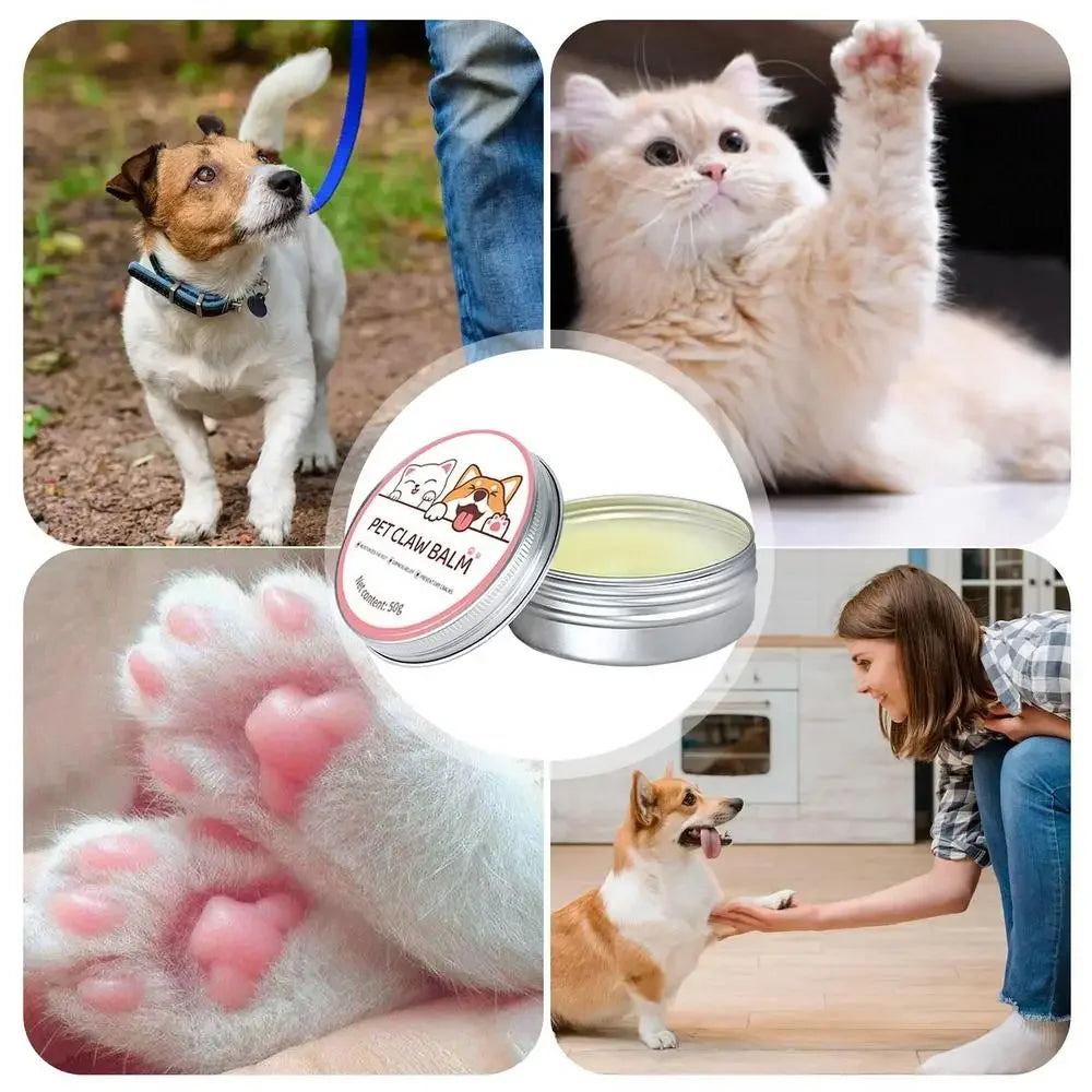 Paw Balm for Cats & Dogs – Protective Moisturizing Cream for Paws, Nose & Cracked Feet (50g)
