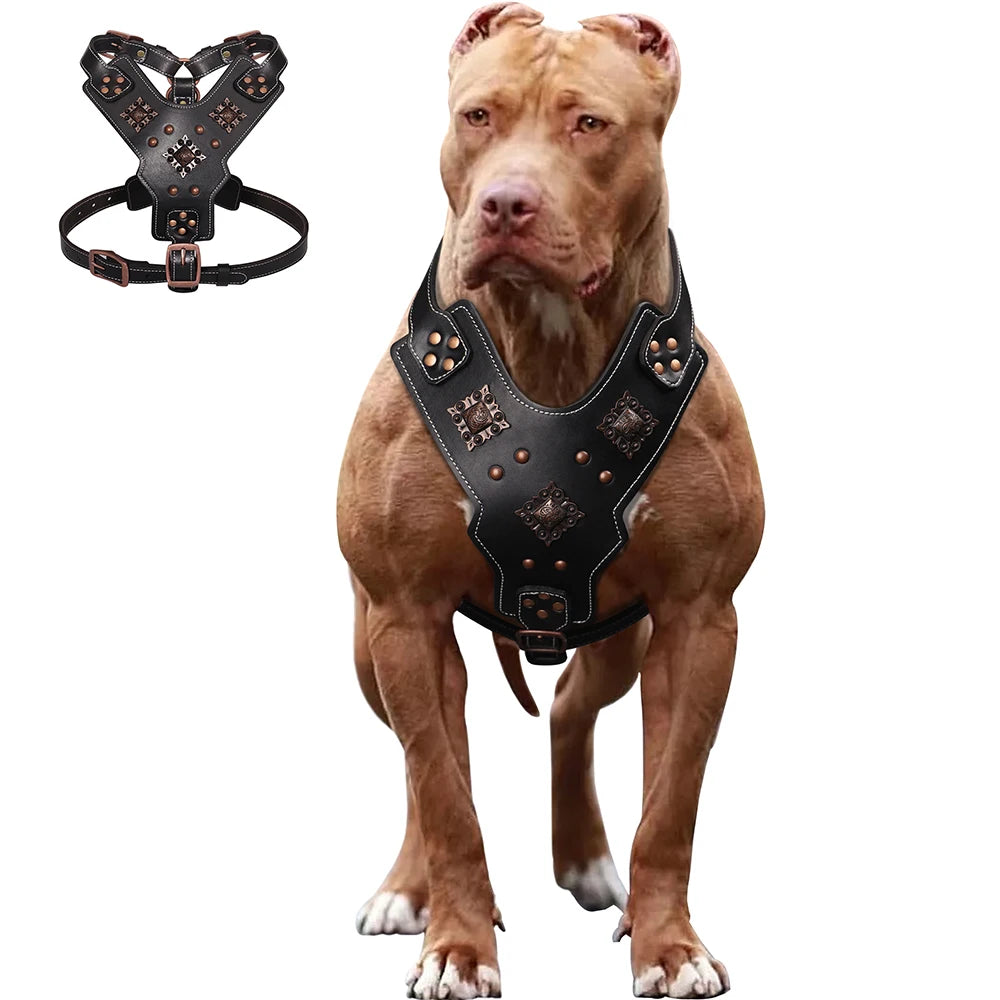 Genuine Leather Dog Harness – Durable Riveted Training Vest with Metal Hardware for Medium & Large Dogs