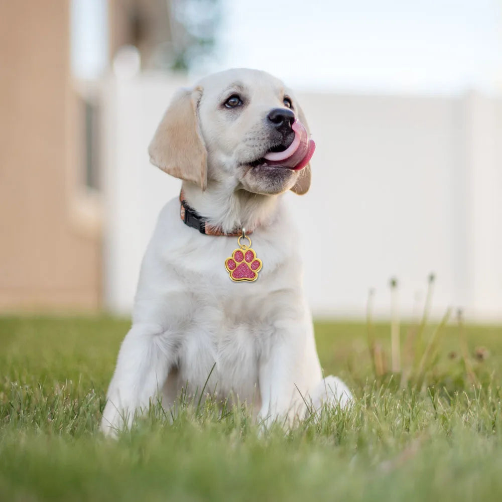 Personalized Pet ID Tag | Engraved Gold Paw Dog & Cat Charm