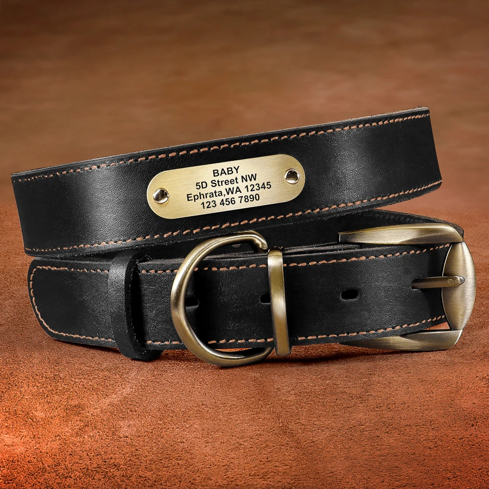 Personalized Real Leather Dog Collar & Leash Sets