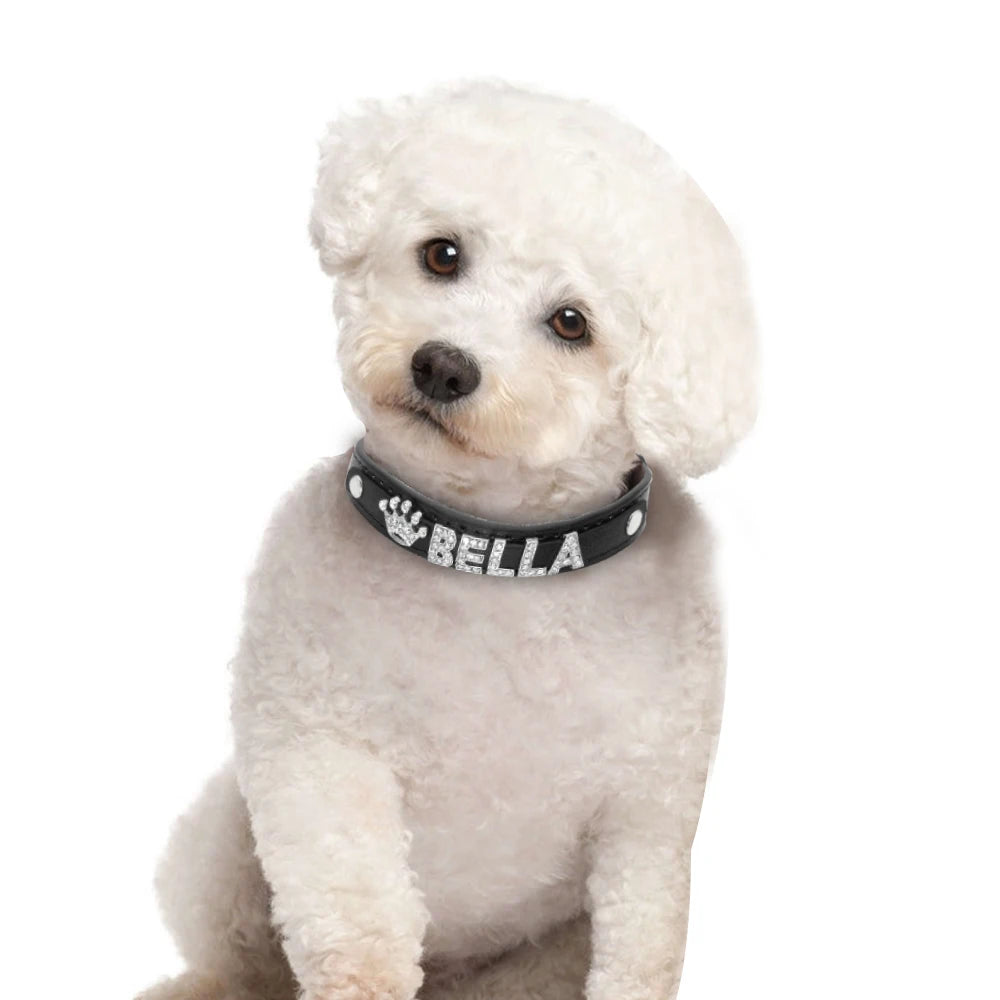 Personalized Rhinestone Dog Collar – Custom Name Collar for Small Dogs & Cats