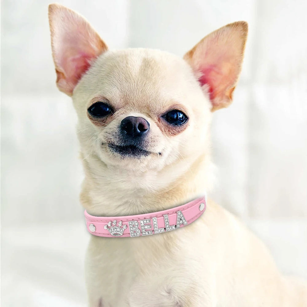 Personalized Rhinestone Dog Collar – Custom Name Collar for Small Dogs & Cats