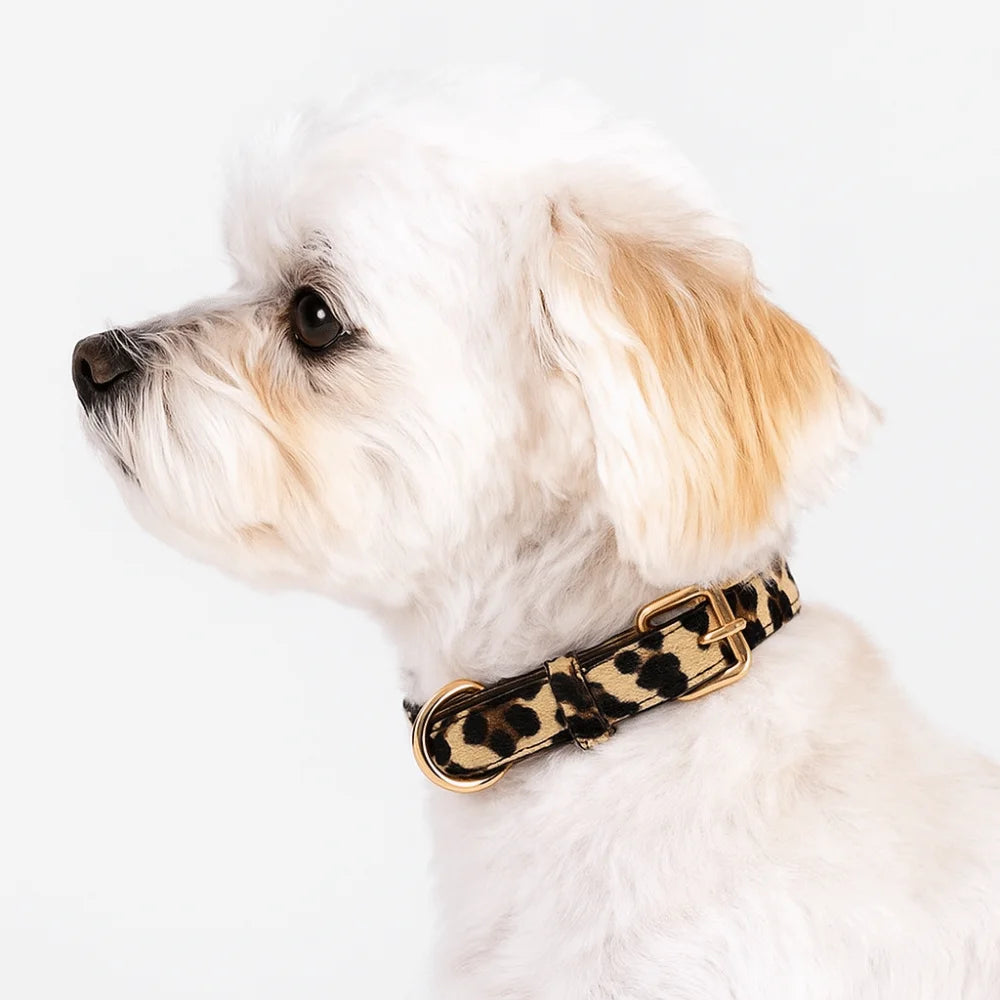 Trendy Leopard Print Dog Collar – Wear-Resistant PU Leather, Adjustable Pet Collar for Small & Medium Dogs