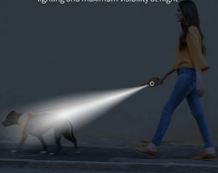 Magnolia Pet Automatic Retractable Dog Leash with LED Light product image 2