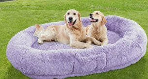 Human Dog Bed for Adults – 71” XL Size with Orthopedic Support, Foldable, Waterproof & Washable Cover