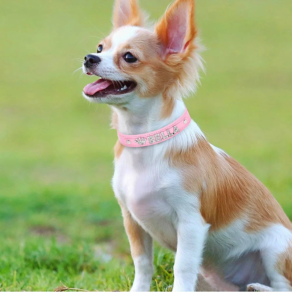 Personalized Rhinestone Dog Collar – Custom Name Collar for Small Dogs & Cats