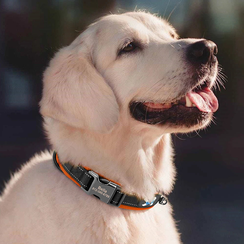 Magnolia Pet Reflective Personalized Dog Collar - Engraved ID Soft Padded Nylon Collar, Adjustable for Small product image 5