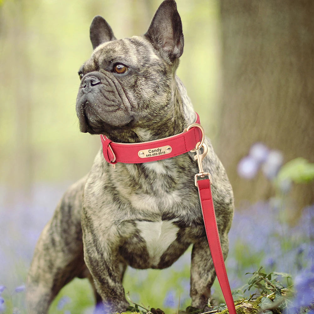 Personalized Safety Leather Dog Collar & Leash Set – Free Engraving