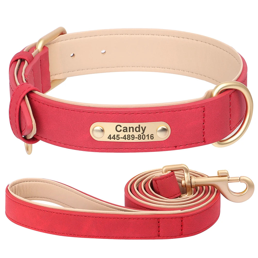 Personalized Safety Leather Dog Collar & Leash Set – Free Engraving