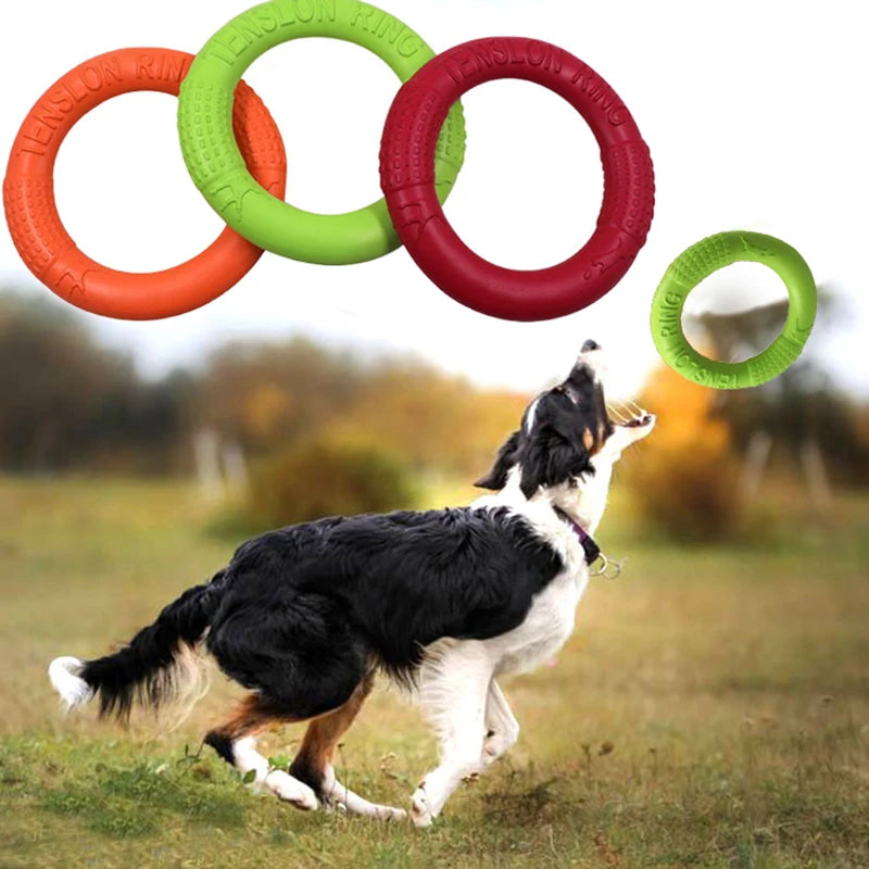 Floating Dog Training Ring – Durable Chew & Fetch Toy for Outdoor Play