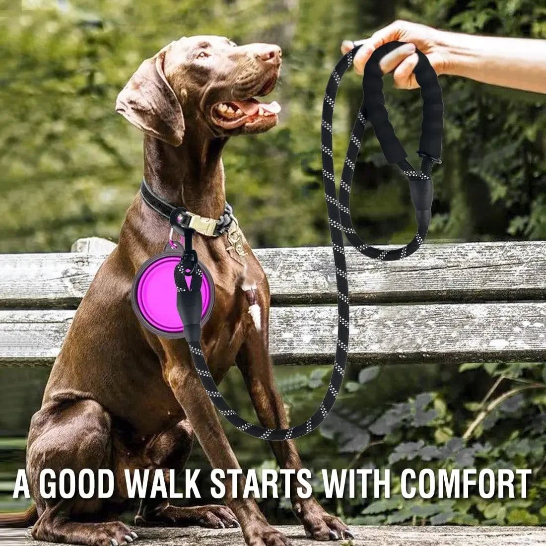 Reflective, Strong Dog Leash Pet Leashes for Big to Small Dogs, Easy Grip and Durable Clip
