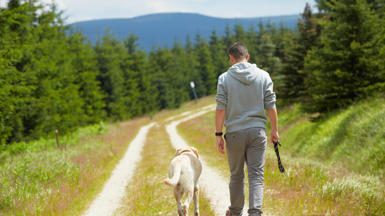 Why Your Dog Follows You Everywhere (And What It Actually Means)