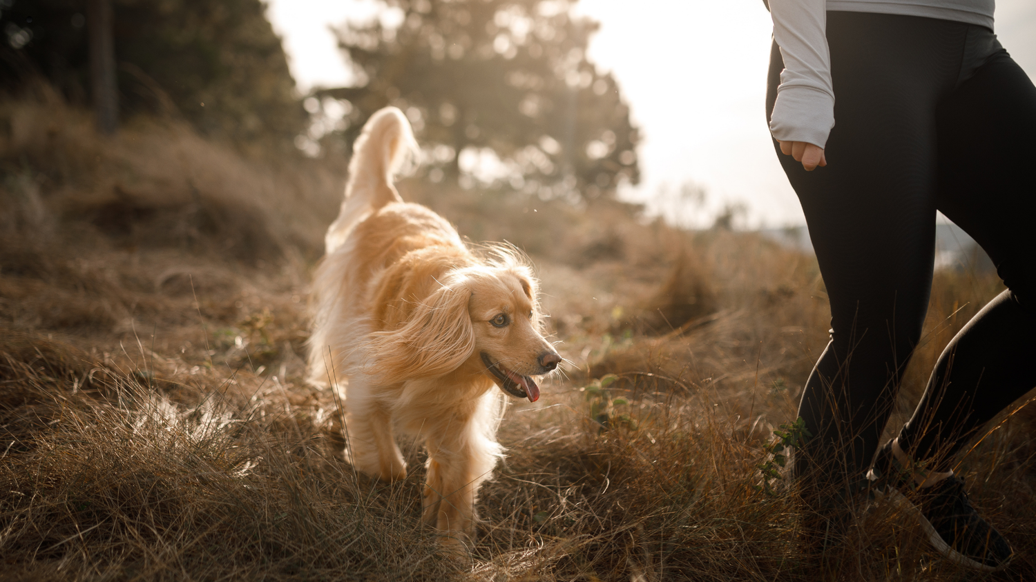 Where You Go, They Go — And There’s a Reason for That
