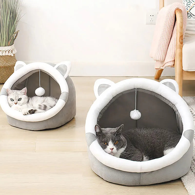 Themed Beds
