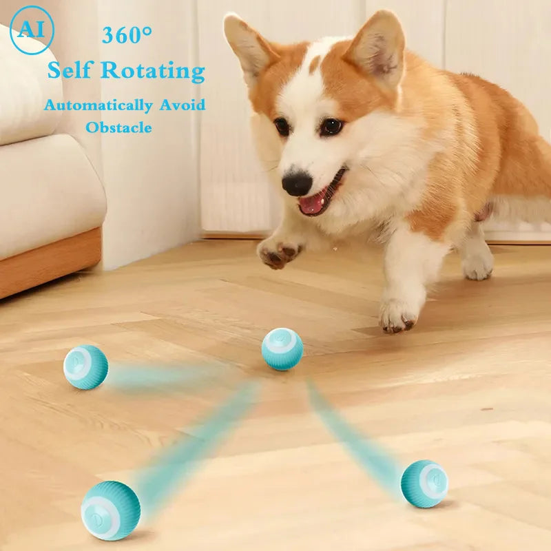 Pet Toys