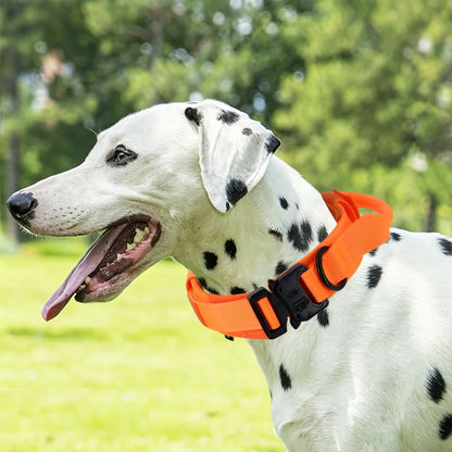 Tactical Dog Collar with Handle – Adjustable Military Nylon Collar for Medium &amp; Large Dogs
