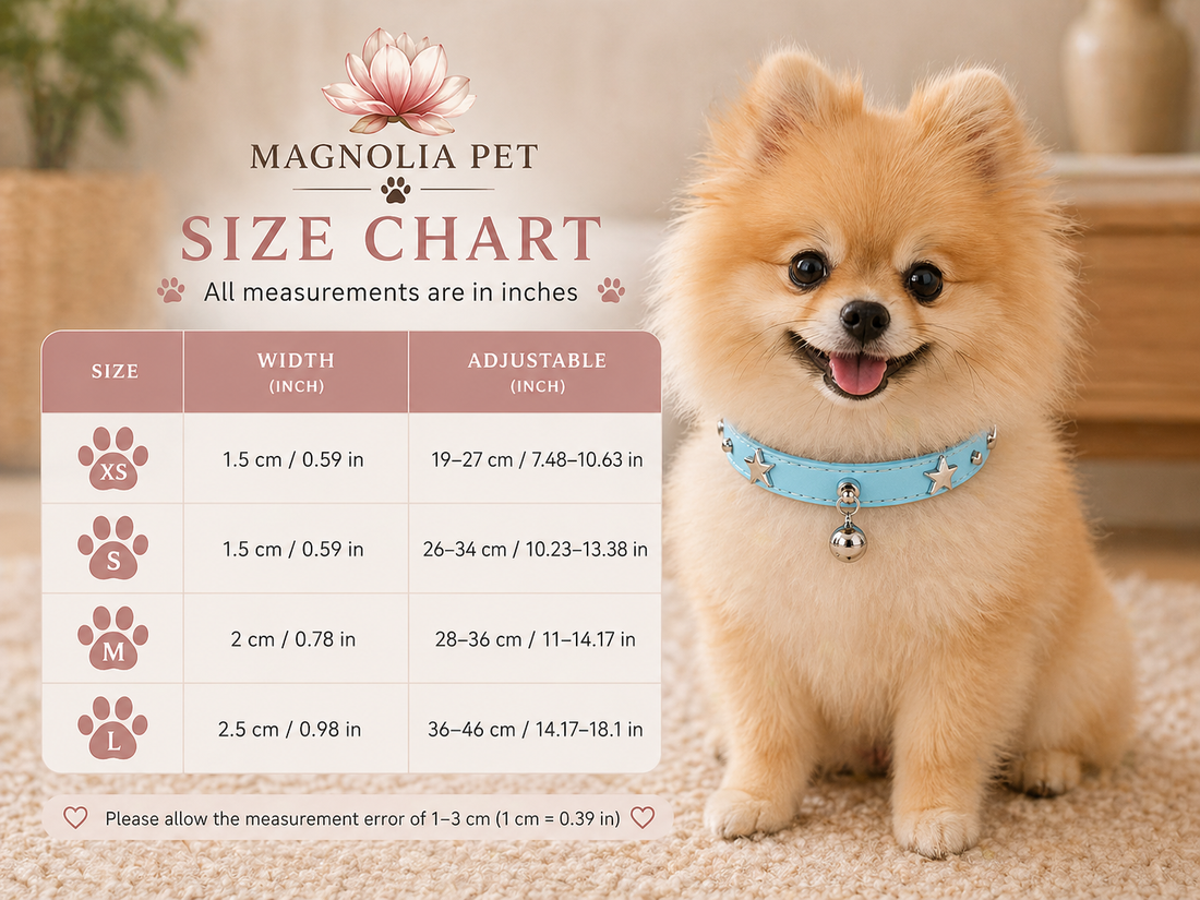 Fashionable Elegant Pet Leather Collar – Adjustable Collar for Small &amp; Medium Dogs and Cats, Durable Walking &amp; Training Pet Accessory
